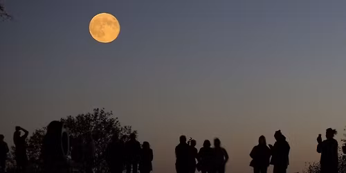 The Silhouttes at McMorran Place Sports and Entertainment Center