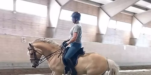 Ride-, kj\u00f8re- og bakkearbeidkurs med Gry Kl\u00f8fta