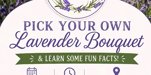 Pick your own Lavender Bouquet 