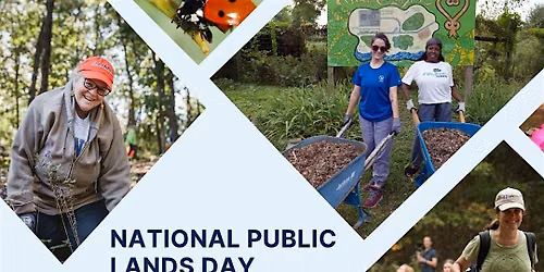 Celebrate National Trails Day with Boardwalk Trail Restoration!