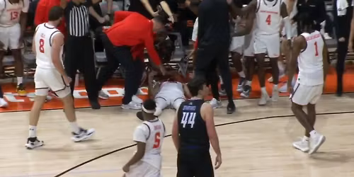 Delaware Blue Hens vs. Sam Houston Bearkats