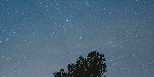 Geminid Meteor Shower Watch Party