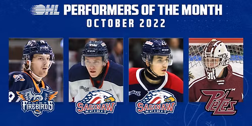 Flint Firebirds at Erie Otters