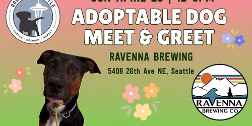 Adoptable Dog Meet & Greet