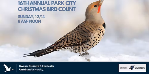 16th Annual Park City Christmas Bird Count
