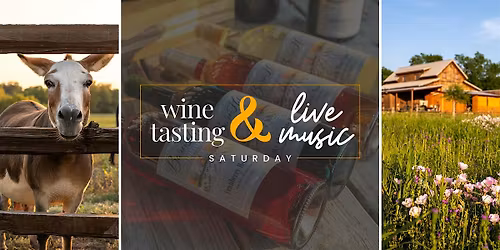 Wine Tasting and Live Acoustic Music by 380 Acoustics| Anna, TX