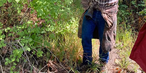 CLEAR CREEK WILDFLOWERS AND WILD PLANTS