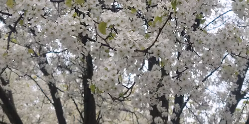 Beneath the Surface- Spring Equinox Workshop