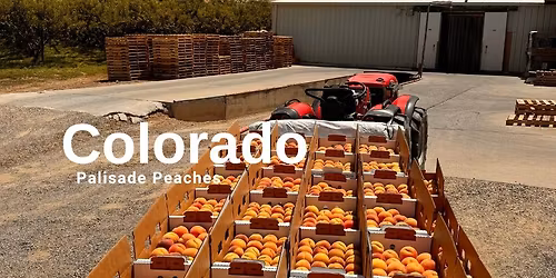 Sheboygan WI Colorado Palisades Peaches