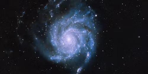 Night Sky Viewing with an Astronomer at Gabis Arboretum 