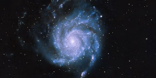 Night Sky Viewing with an Astronomer at Gabis Arboretum