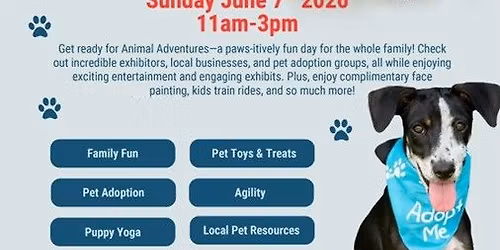 Reston Town Center's Animal Adventures