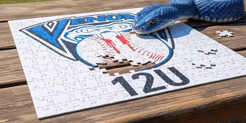 Puzzle Palooza Night