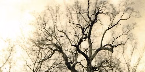 The Maryland Liberty Tree Project