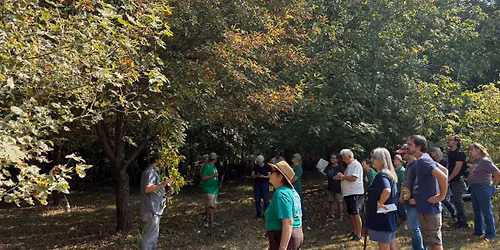 Tree Identification Hike