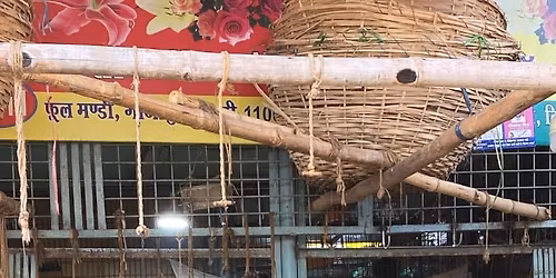 Indian Ocean Live In Delhi