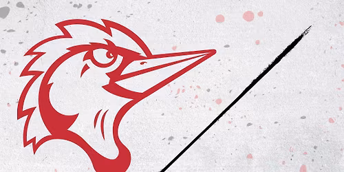 Delmarva Shorebirds vs. Fayetteville Woodpeckers