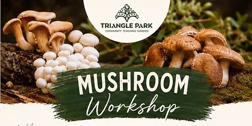 Mushrooms