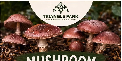 Mushrooms