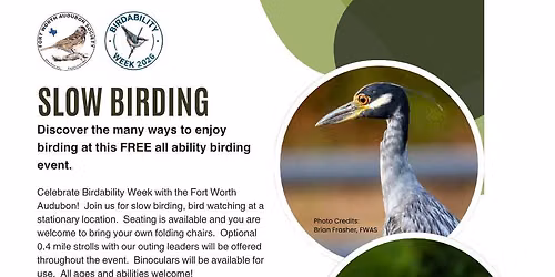 Slow Birding