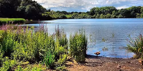 Chard Flyer 10k 2026