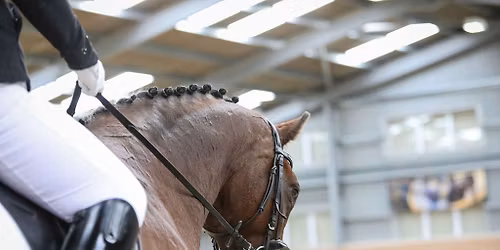 HAPPA's Unaffiliated Dressage