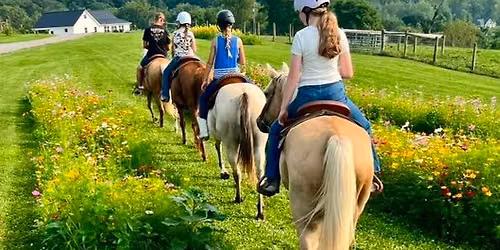 Homeschool Horse Club 