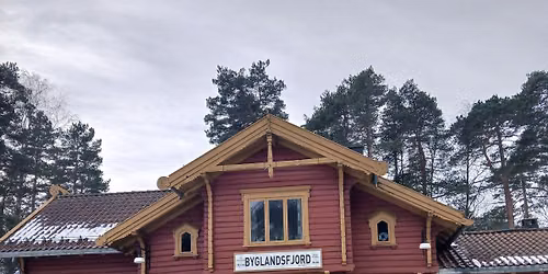 Stasjonens dag