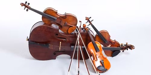 Strings Showcase Concert