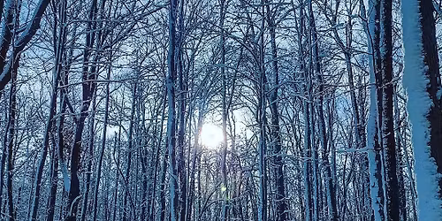 Attuning to the Seasons - Winter