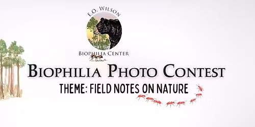 Biophilia Art Festival & Photo Contest