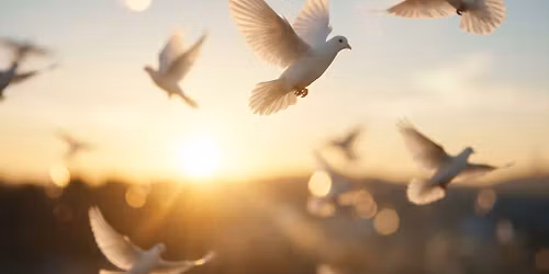 Nevaeh Psychic Nights, Evening Of Mediumship