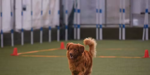 Dobbelt lydighetsstevne p\u00e5 Varden 2026. L\u00f8rdag 30 mai BSBK. S\u00f8ndag 31 mai Retrieverklubben