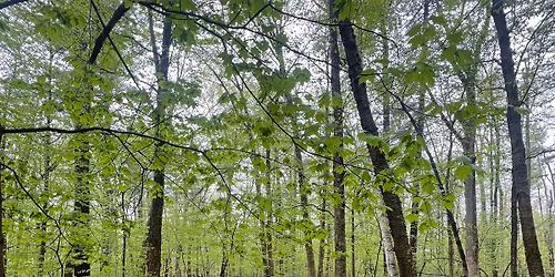 Taurus Garden and Trail Day