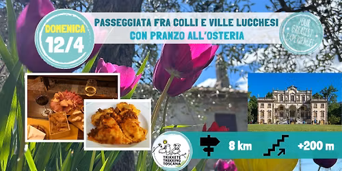 \ud83c\udf3b Passeggiata fra Colli e Ville Lucchesi con pranzo in Osteria \ud83c\udf5d