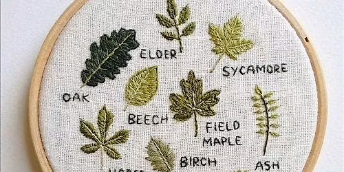Brode ton herbier \u2022 Atelier botanique parent-enfant