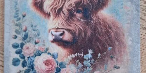 Tregrehan Christmas Fayre