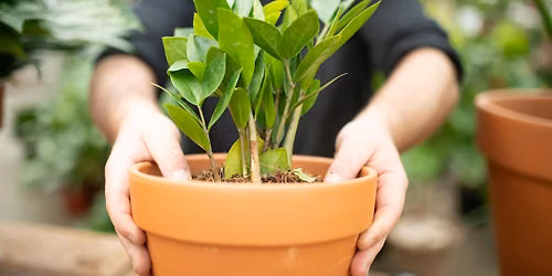 Free Up-Potting Booth at West Coast Gardens