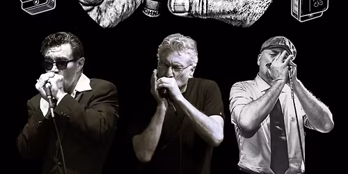 \ud83d\udca5BigT & The Stallion\u00b4s Harp Attack!\ud83d\udca5