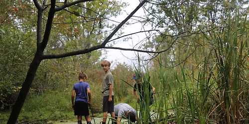PA Day Nature Camp - Nature's Engineers