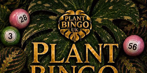 Plant Bingo @ Quinto Lounge 