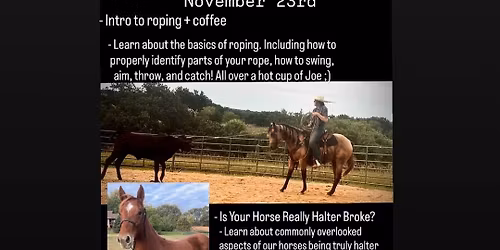 Cluster Clinic + Tack Auction