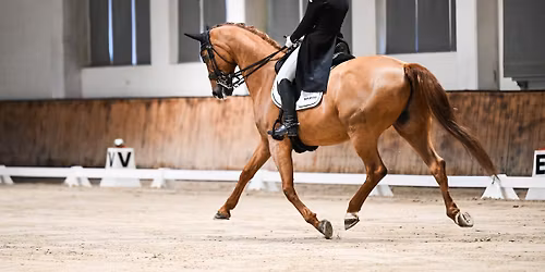 Mistrzostwa Polski P\u00f3\u0142nocnej w Uje\u017cd\u017ceniu, ZRiT