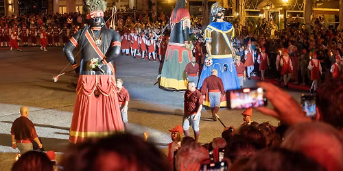 Dendermonde vol verhalen - Tussen Ros en Reuzen
