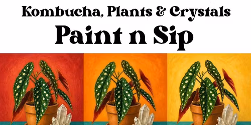 Kombucha PAINT N SIP