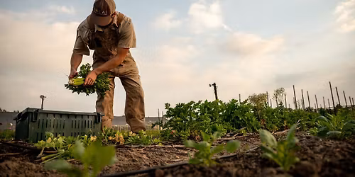 Volunteer at The Farm at Millican Reserve