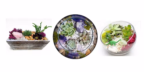 Our Summer Succulent Planting Event