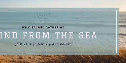 August Wild Sacred Gathering