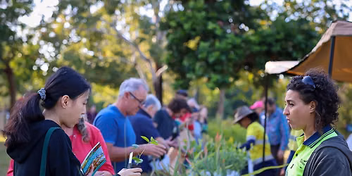 Native Plant Giveaway