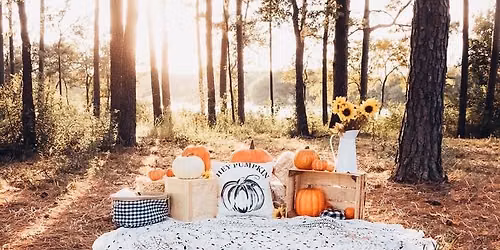 PHOTOS BY KENDALL MARY FALL MINIS
